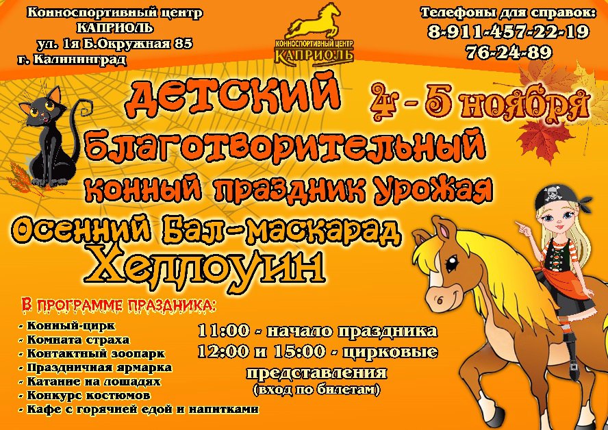 Нас приглашает конный цирк!