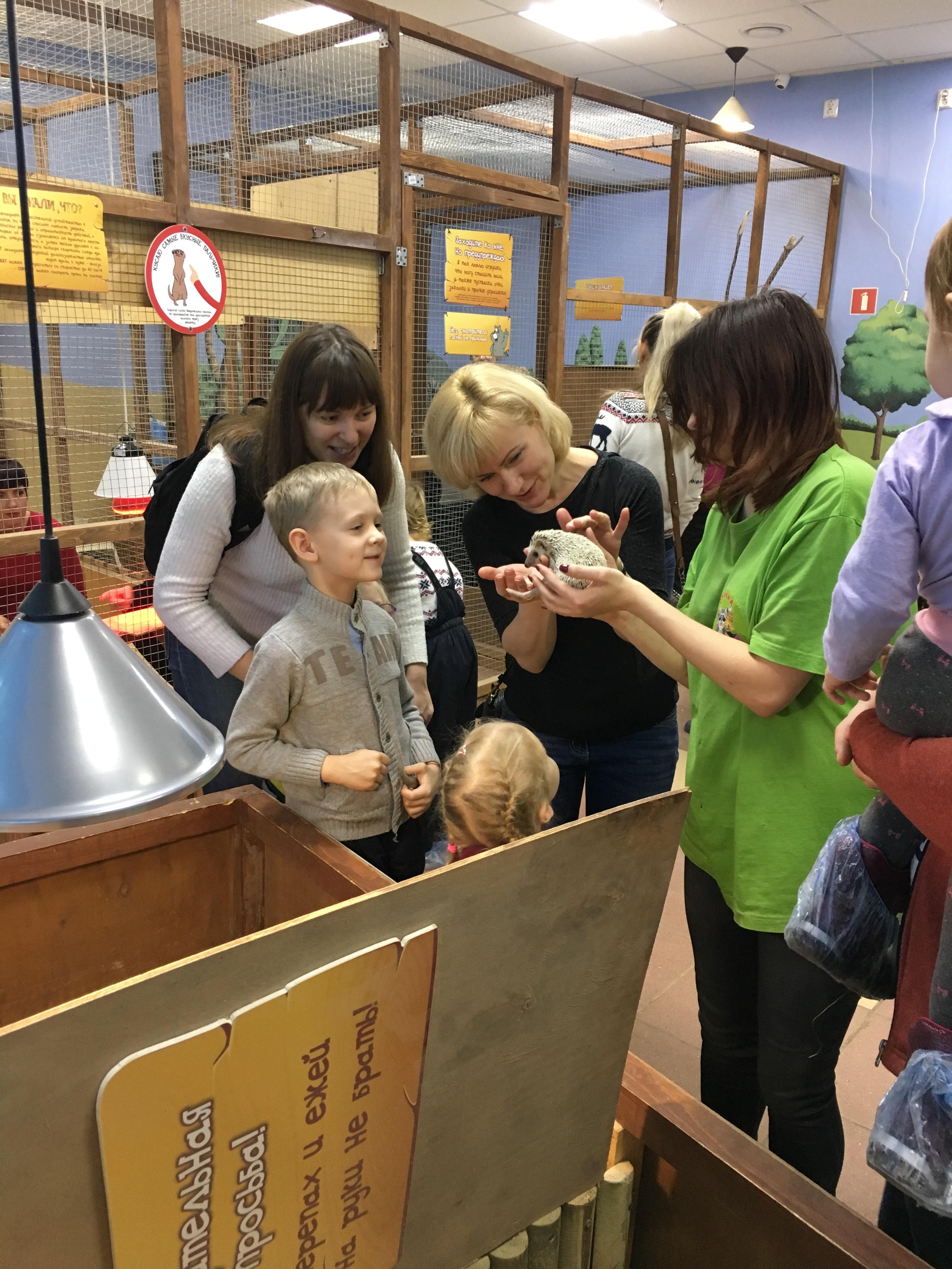 Путешествие в «Енотию»