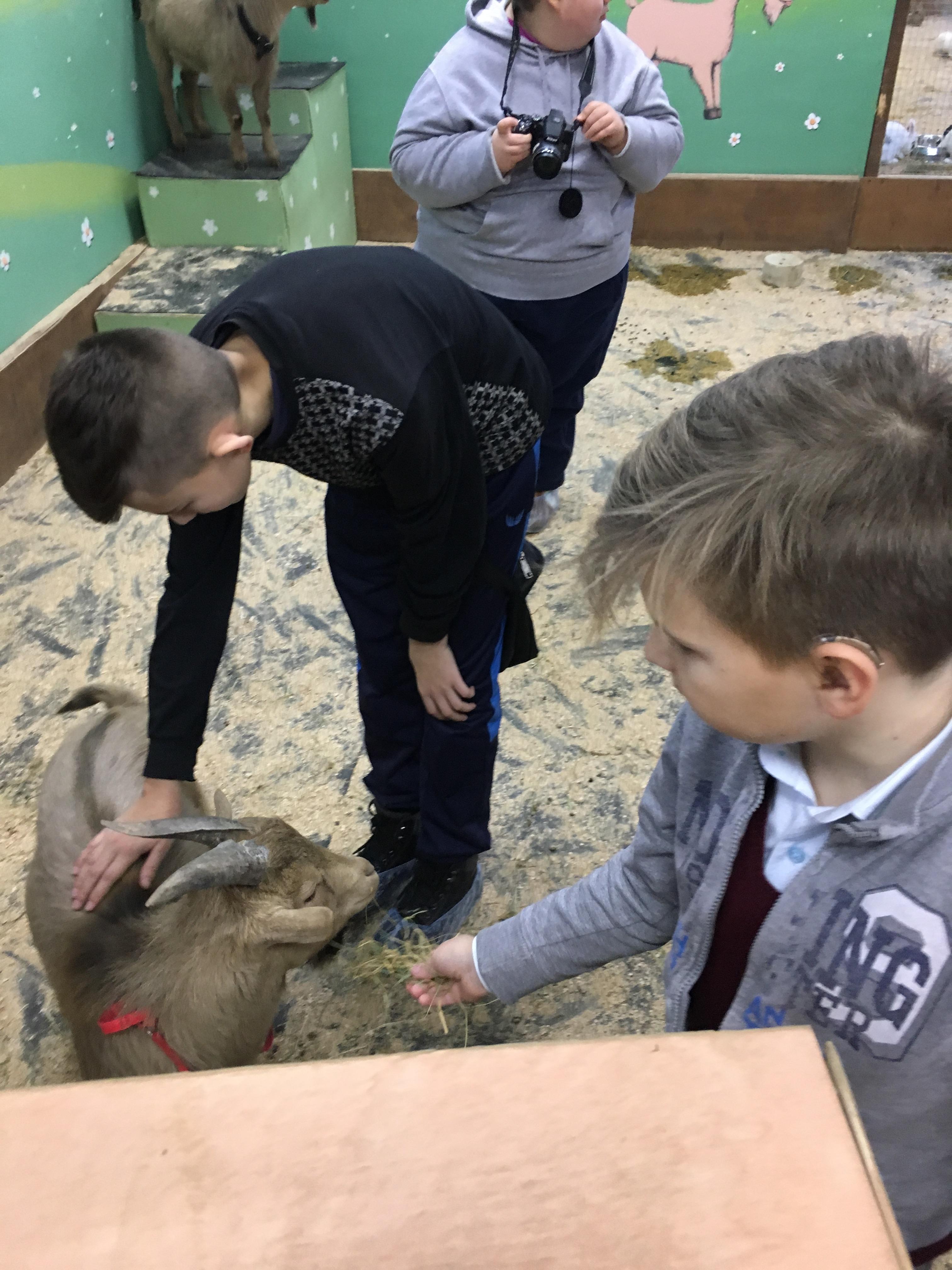 Путешествие в «Енотию»