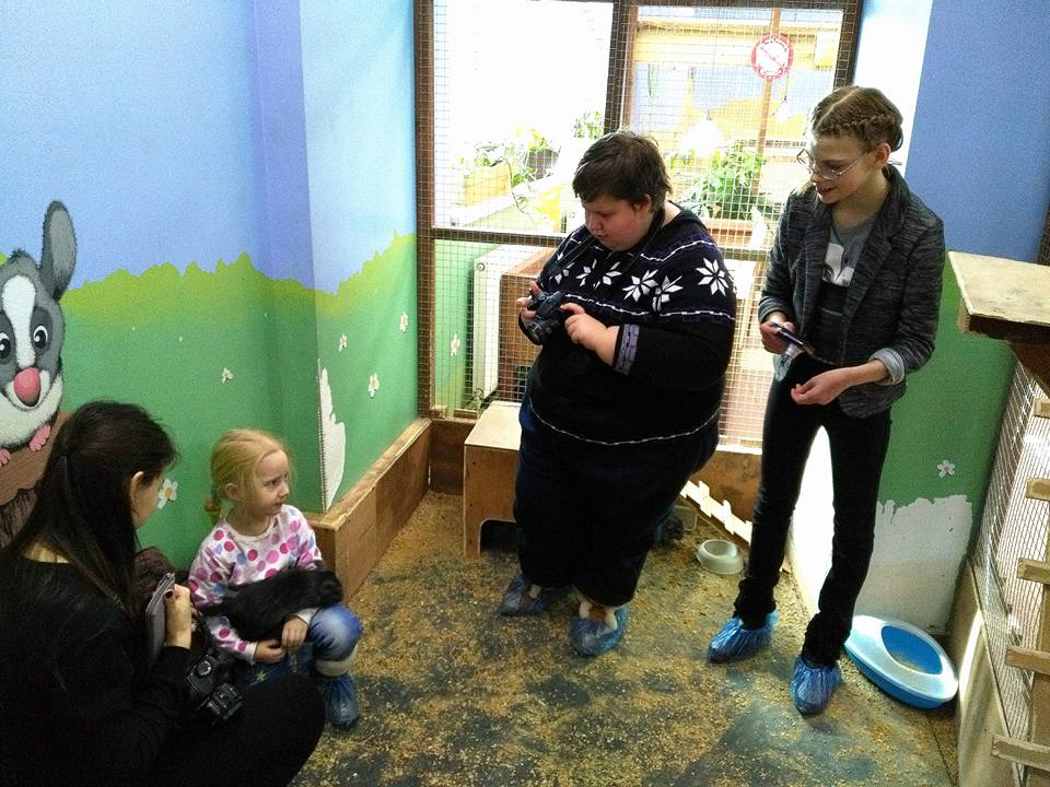 Животные в объективе