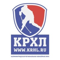 Калининградские звезды хоккея помогут детям