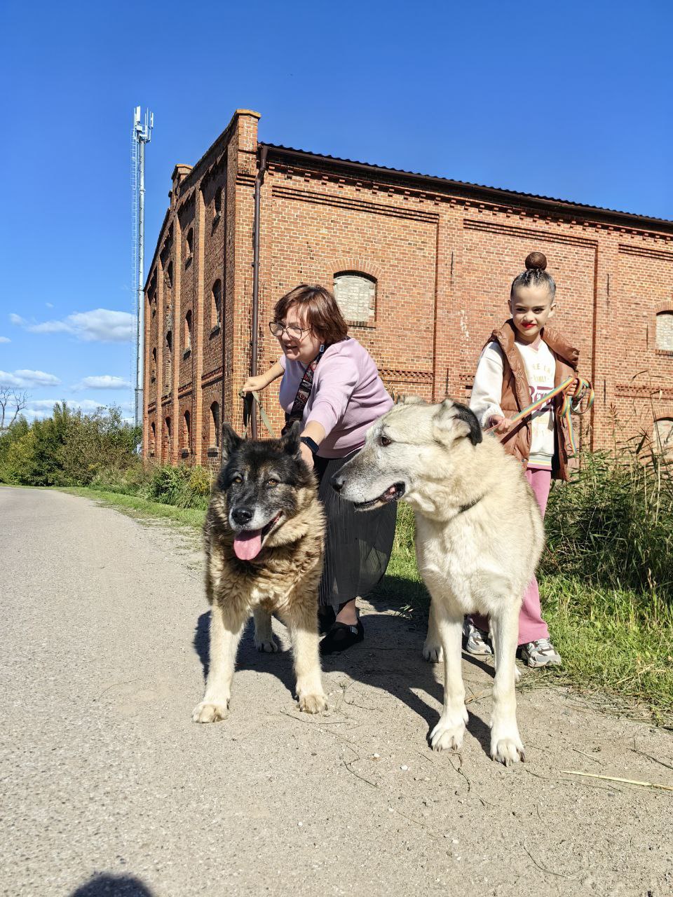 Участники проекта «Креалофт» побывали в центре для бездомных животных «Славянское»