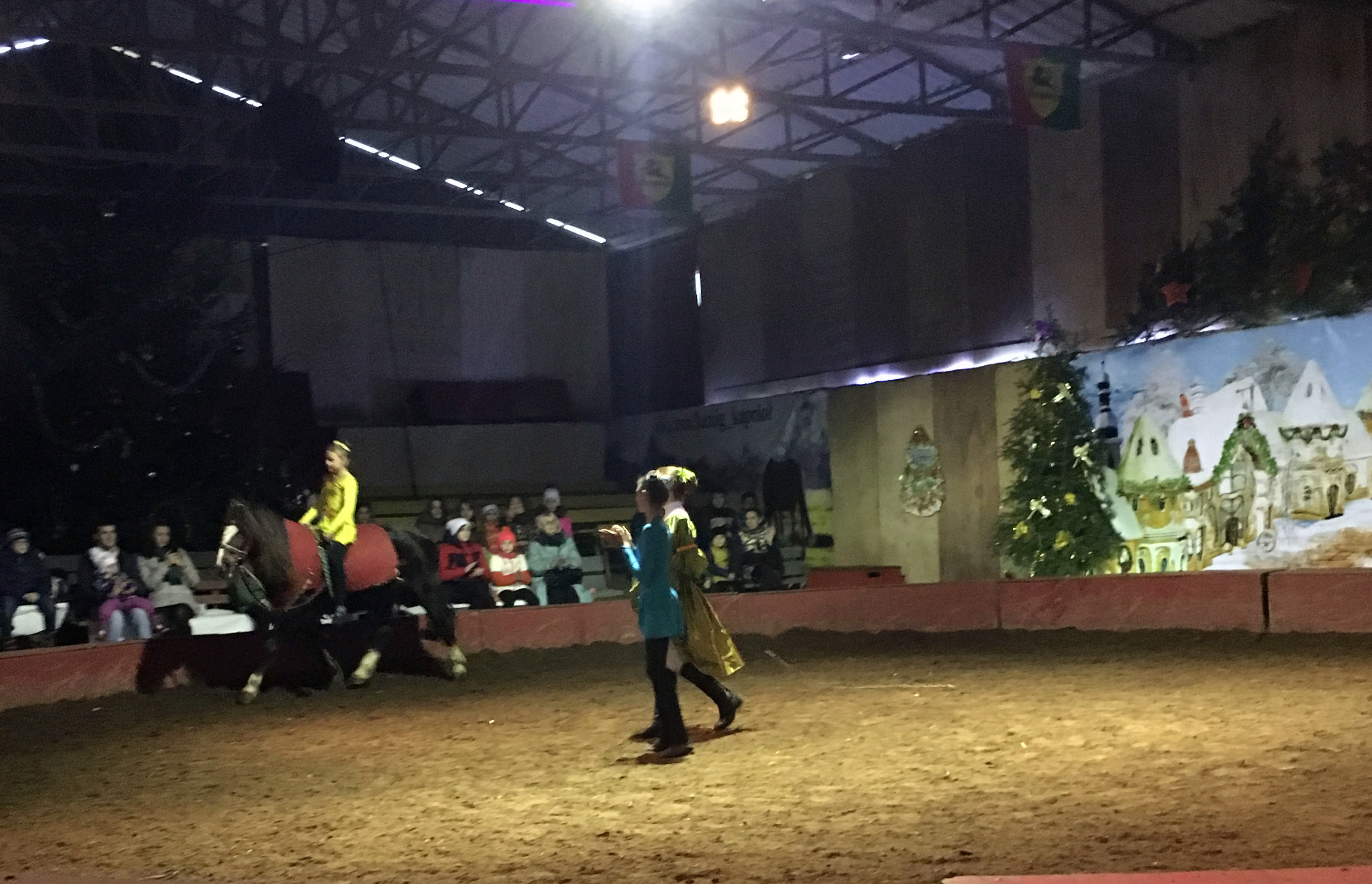 Дети проекта «Цветы жизни» побывали на новогоднем представлении в конном цирке «Каприоль»