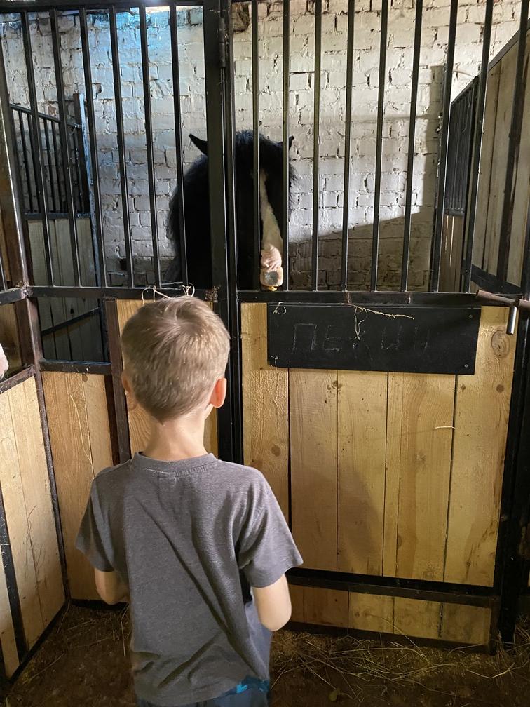 Дети+кони=дружба