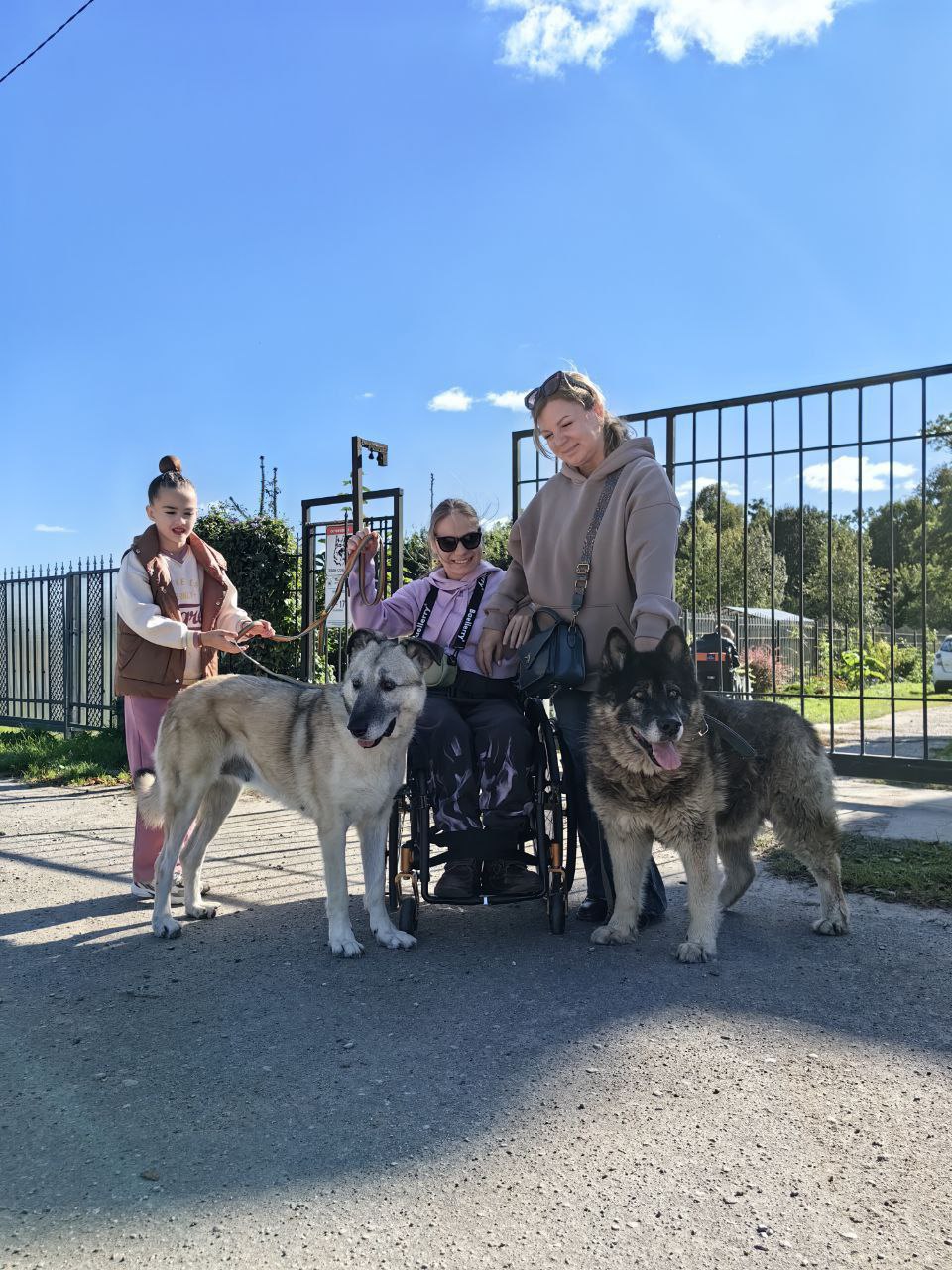 Участники проекта «Креалофт» побывали в центре для бездомных животных «Славянское»