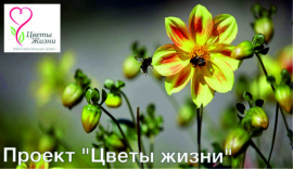 Цветы жизни