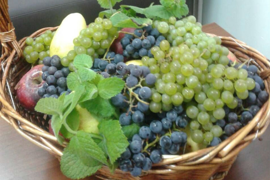 Изумительный виноград — в подарок «Берегу надежды»