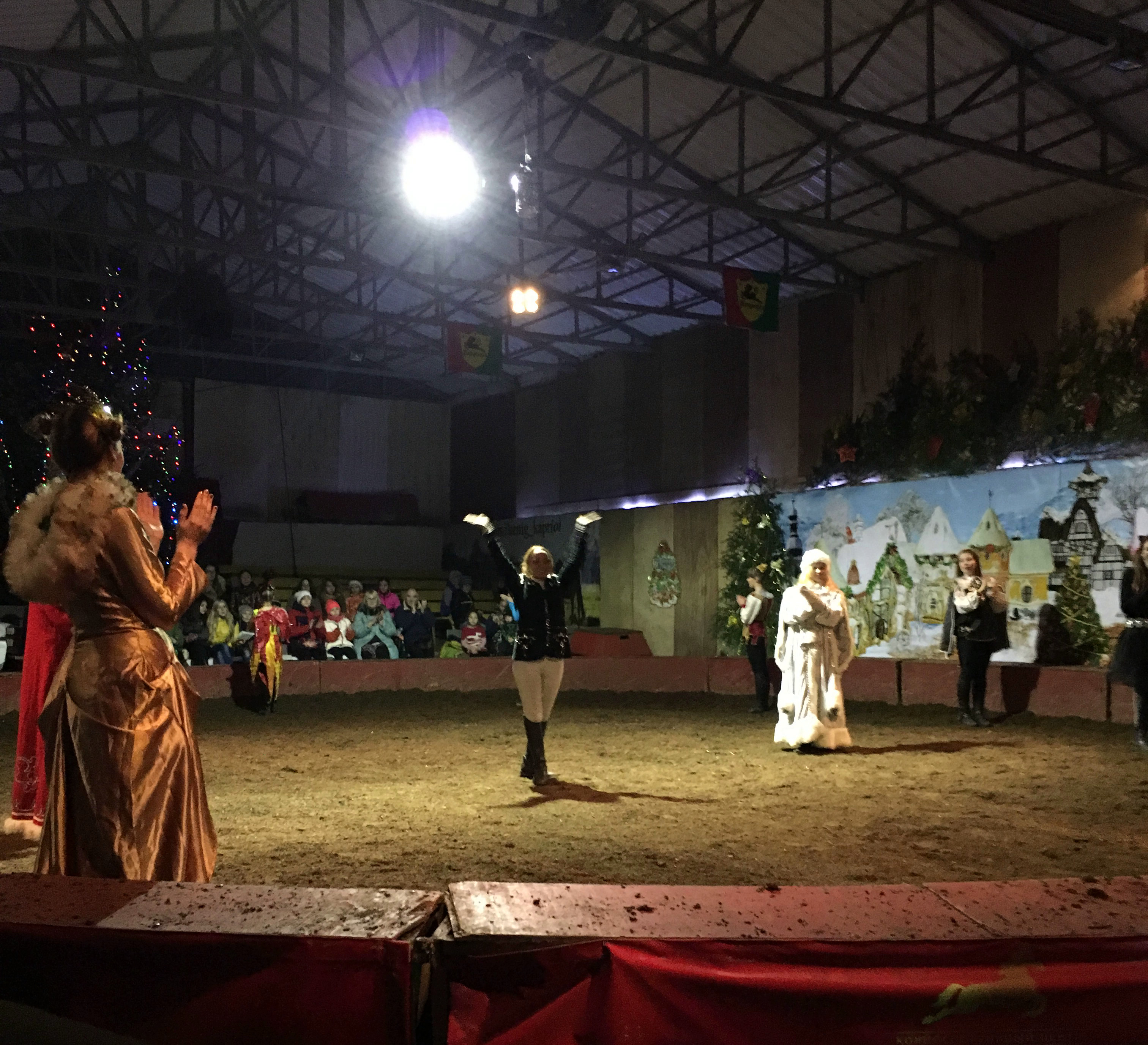Дети проекта «Цветы жизни» побывали на новогоднем представлении в конном цирке «Каприоль»